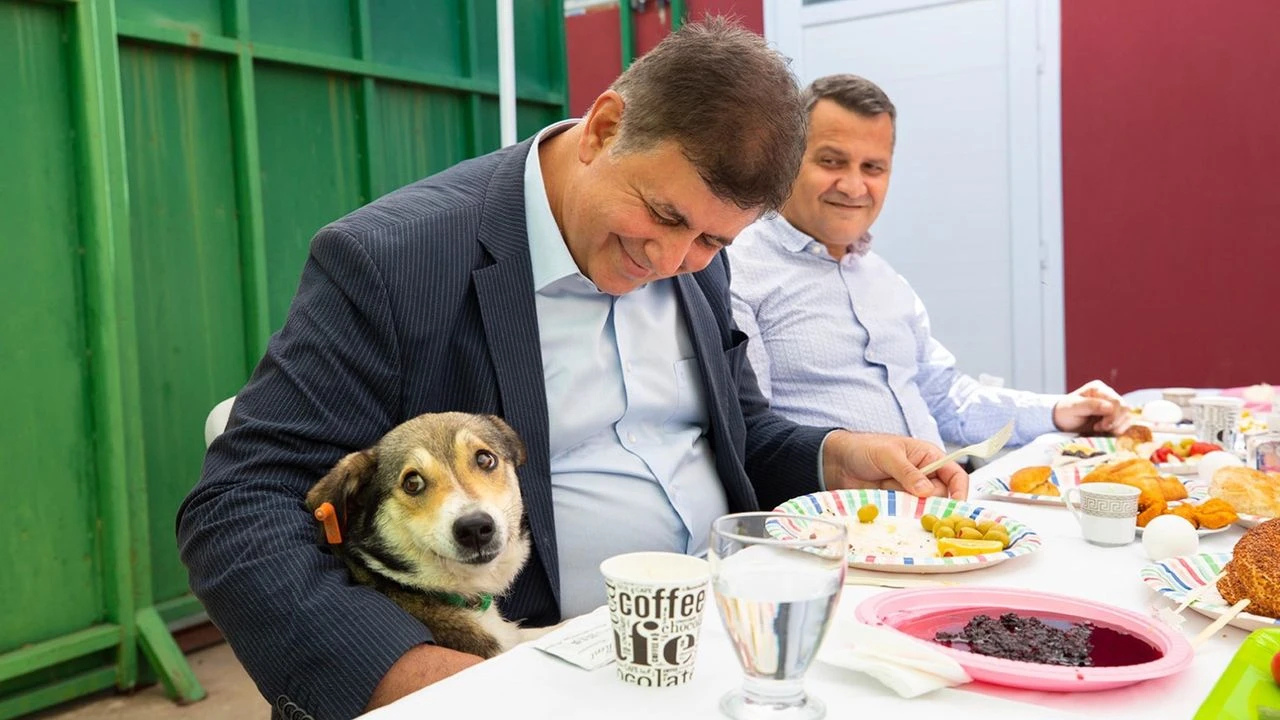 İzmir Büyükşehir Belediyesi bir yandan mama üretiyor, bir yandan köpekleri topluyor